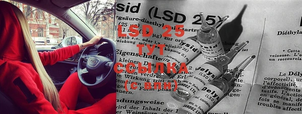 стафф Нефтегорск