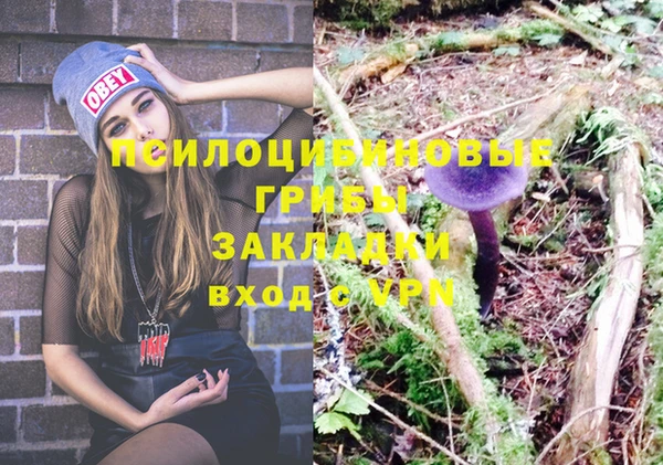 МДМА Новозыбков