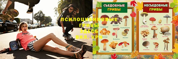 МДМА Новозыбков