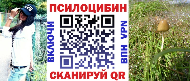 Псилоцибиновые грибы MAGIC MUSHROOMS  Сасово 